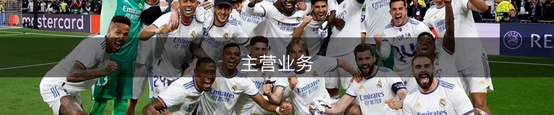 主营业务